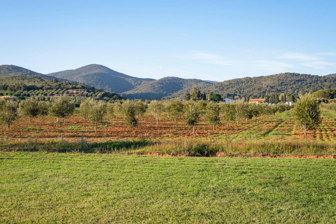 Terre Di Castiglione *